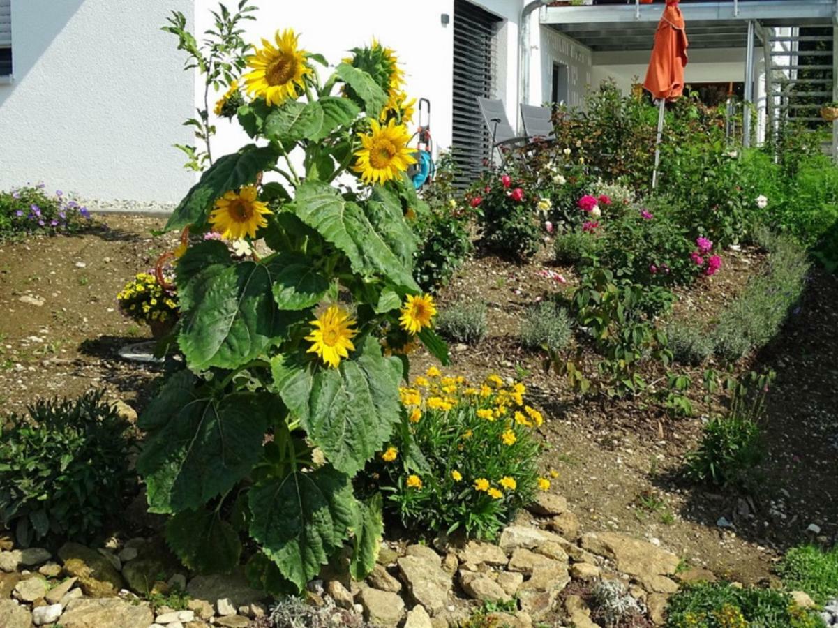 Ferienwohnung Hofstatt Lalling Exteriör bild